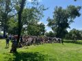 gfcpicnic gfcpicnic
