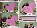 harmony  